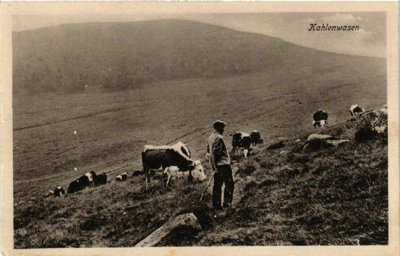 Carte postale ancienne Kahlenwasen