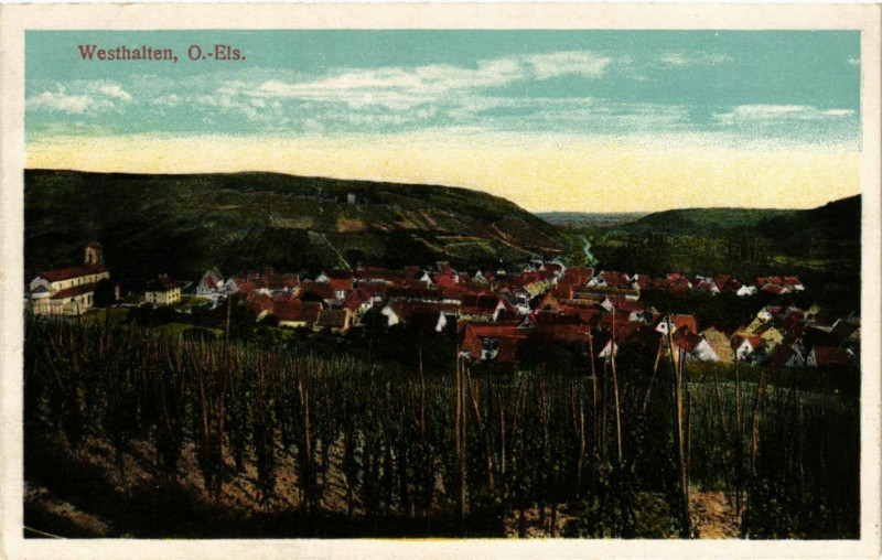 Carte postale ancienne Westhalten à Westhalten