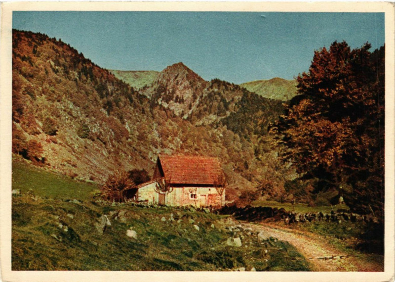 Carte postale ancienne Schones Elsassland