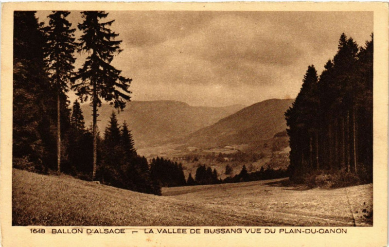 Carte postale ancienne Ballon D'Alsace - La Vallée de Bussang vue du Plain du Canon
