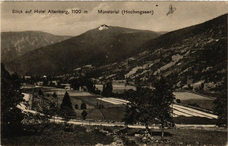 Carte postale ancienne Blick auf Hotel Altenberg