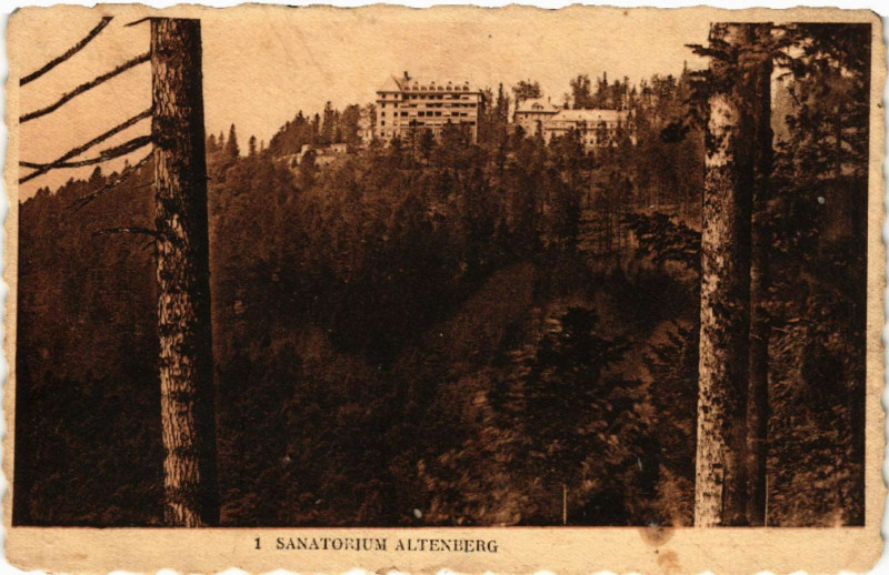 Carte postale ancienne Sanatorium Altenberg