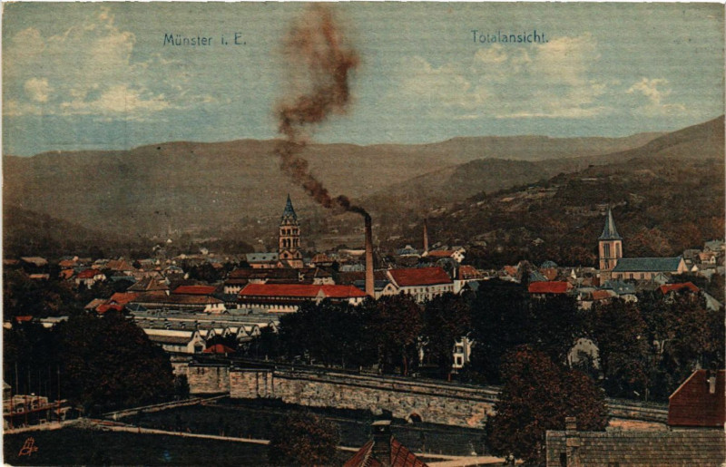 Carte postale ancienne Munster i. E. - Totalansicht à Munster