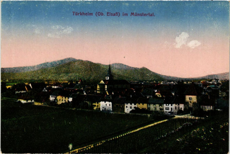 Carte postale ancienne Turkheim im Munstertal à Munster