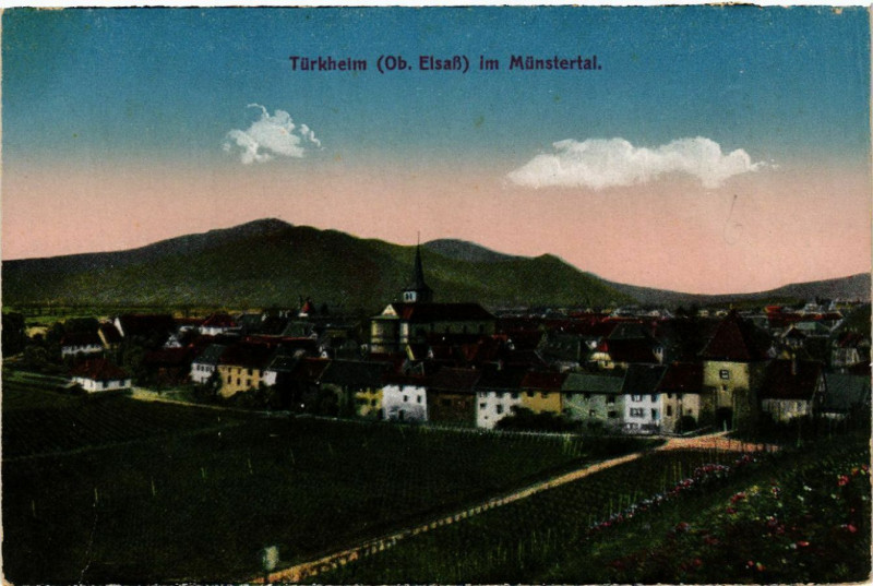Carte postale ancienne Turkheim im Munstertal à Munster