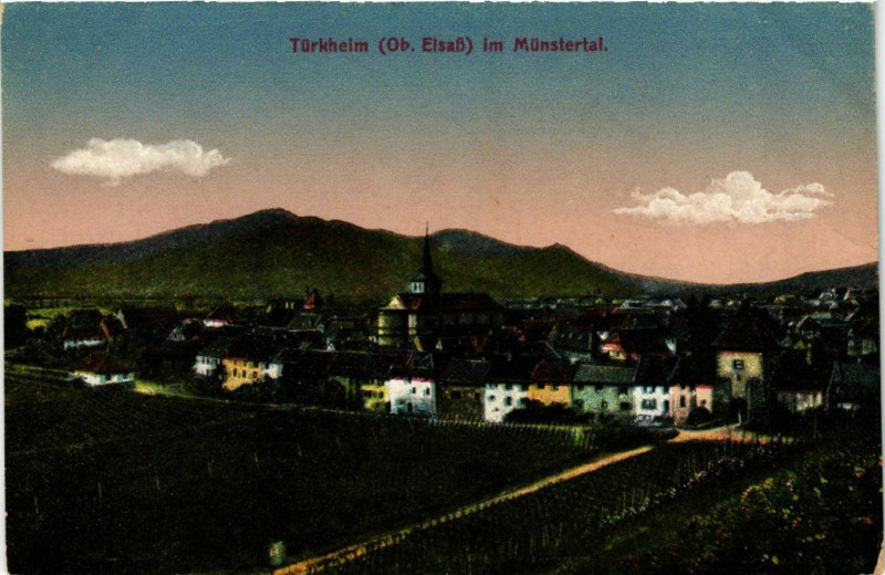 Carte postale ancienne Turkheim im Munstertal à Munster