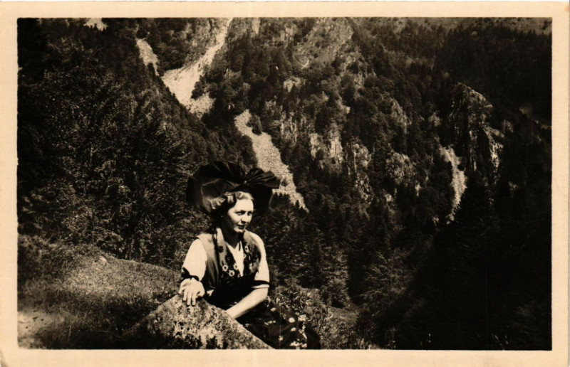 Carte postale ancienne Spitzkoepfe Hohneck - Vue prise de Kerbholz