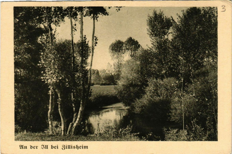Carte postale ancienne Un der Vu b. Gillisheim