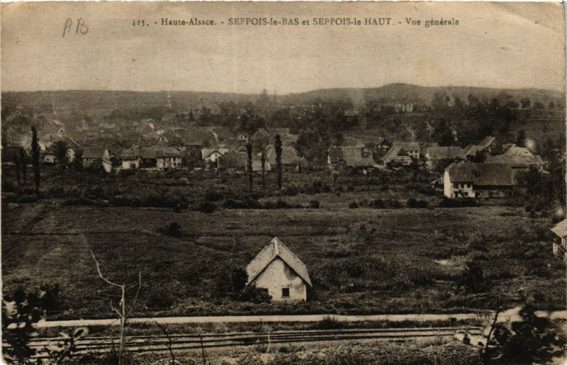 Carte postale ancienne Haute-Alsace - Seppois le Bas et Seppois le Haut - Vue générale à Seppois-le-Bas