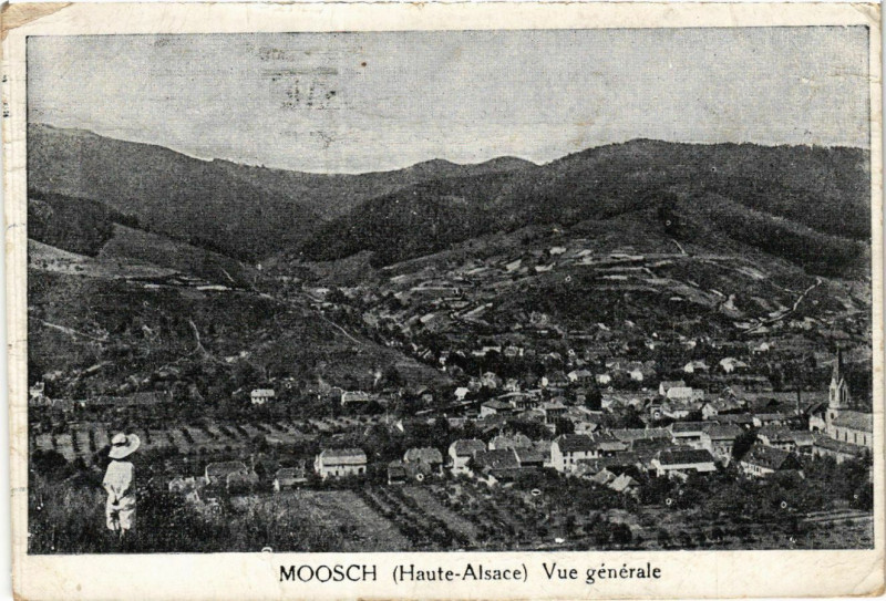 Carte postale ancienne Moosch - Vue générale à Moosch