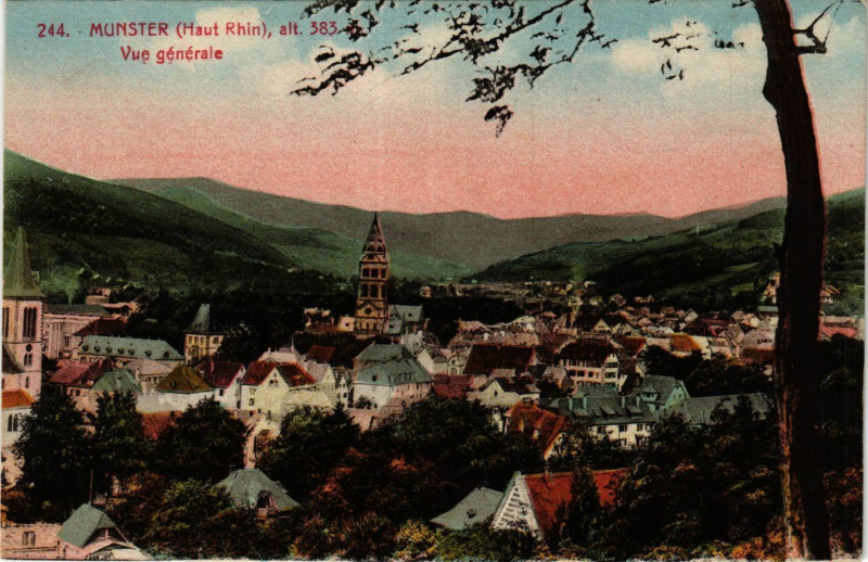 Carte postale ancienne Munster - Vue générale à Munster