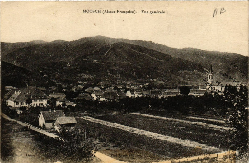 Carte postale ancienne Moosch - Vue générale à Moosch