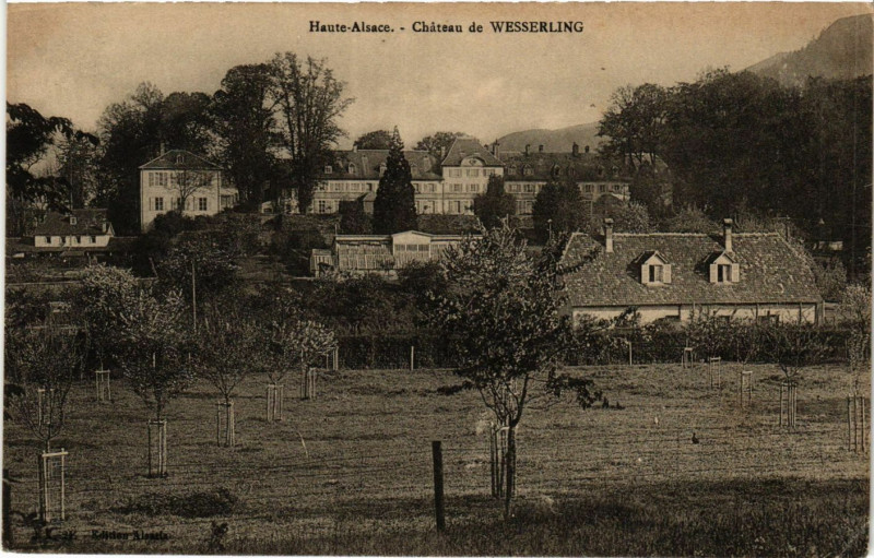 Carte postale ancienne Haute-Alsace - Chateau de Wesserling