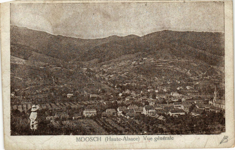 Carte postale ancienne Moosch - Vue générale à Moosch