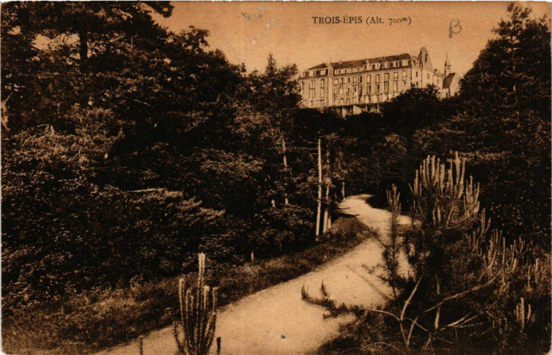 Carte postale ancienne Trois-Epis