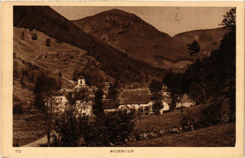 Carte postale ancienne Wildenstein - Panorama à Wildenstein