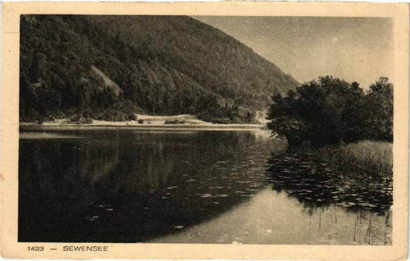 Carte postale ancienne SEWENsée - Scene à Sewen