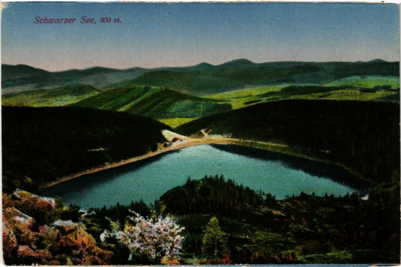 Carte postale ancienne Schwarzer See - Lac Noir - Vue Totale