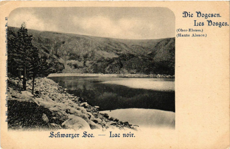 Carte postale ancienne Schwarzer See - Lac Noir - Scene