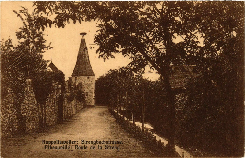 Carte postale ancienne Ribeauville - Rappoltsweiler - Route de la Streng à Ribeauvillé