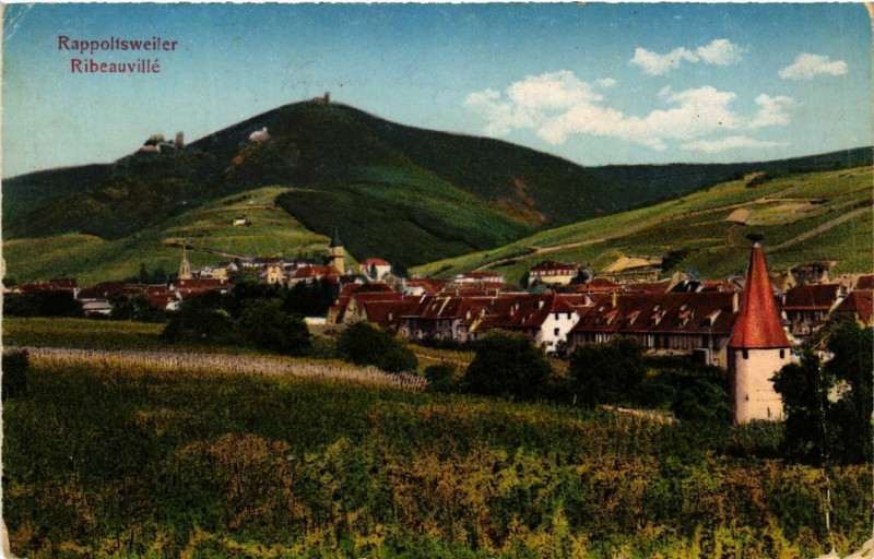 Carte postale ancienne Ribeauville - Rappoltsweiler - Panorama - Vue générale à Ribeauvillé