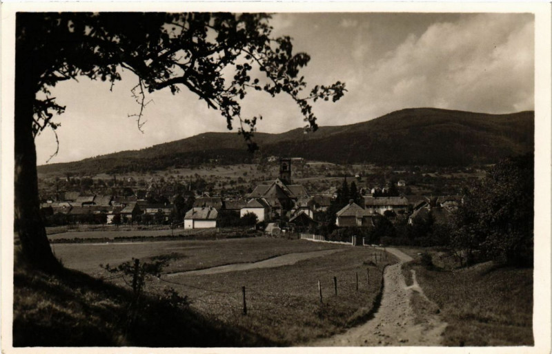 Carte postale ancienne Masevaux - Masmunster - Panorama à Munster