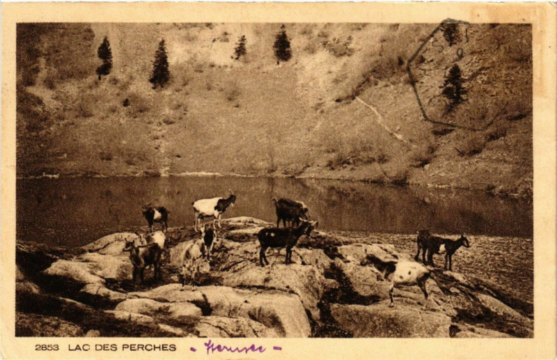 Carte postale ancienne Lac des Perches - Scene