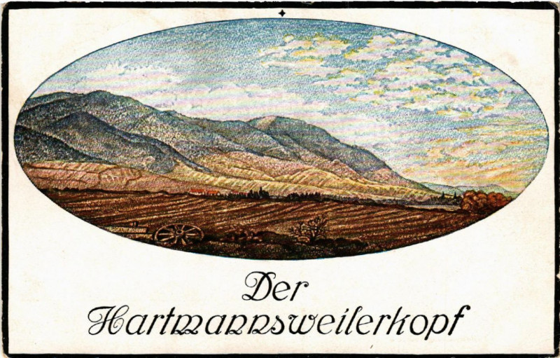 Carte postale ancienne Hartmannsweiler Kopf - Sudhang