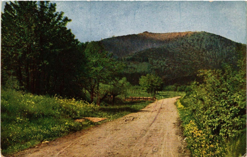 Carte postale ancienne Hartmannsweiler Kopf - Vue