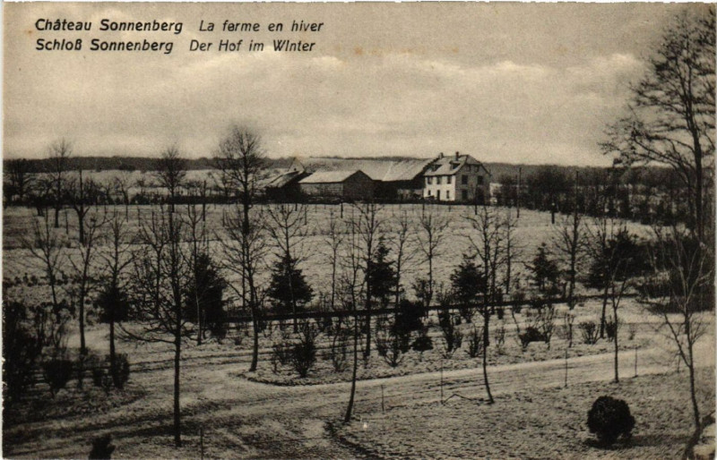 Carte postale ancienne Chateau Sonnenberg - Schloss Sonnenberg - La Ferme en Hiver
