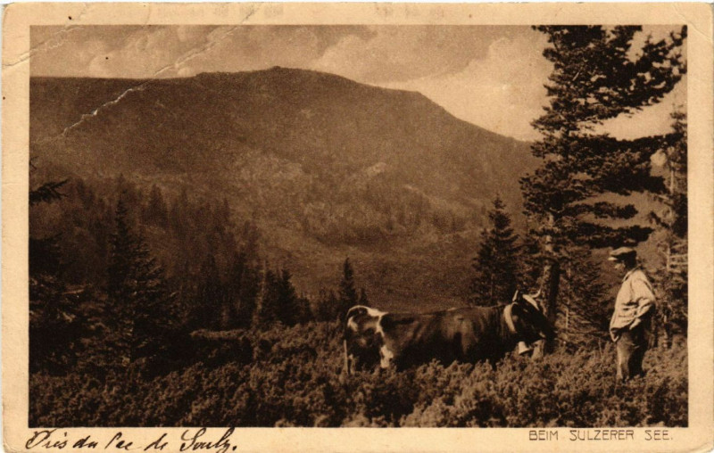 Carte postale ancienne Beim SULZERer See - Scene