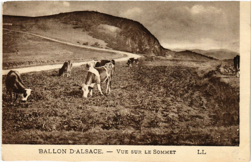 Carte postale ancienne Ballon D'Alsace - Vue sur Le Sommet