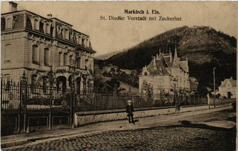 Carte postale ancienne Markirch - Sainte-Marie-aux-Mines - Saint-Diedler Vorstadt à Sainte-Marie-aux-Mines