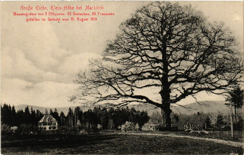 Carte postale ancienne Grosse Eiche - Klein-Hohe b. Markirch
