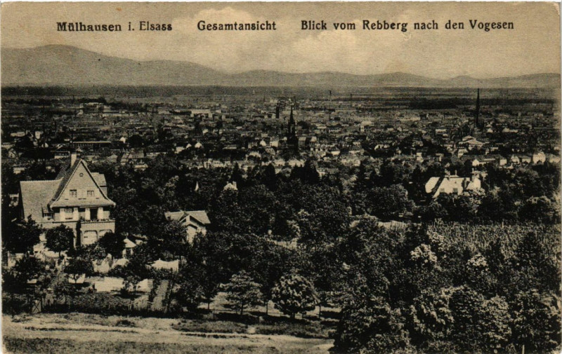 Carte postale ancienne Mulhausen - Mulhouse - Gesamtansicht - Blick vom Rebberg à Mulhouse