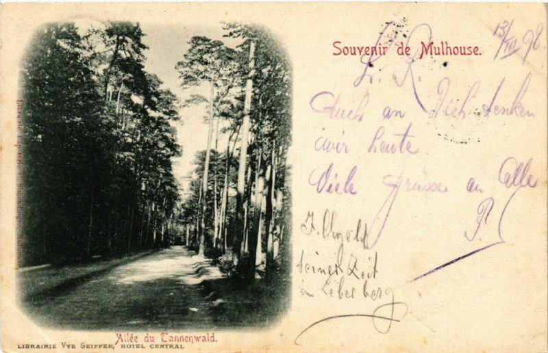 Carte postale ancienne Mulhausen - Mulhouse - Allée du Tannenwald à Mulhouse