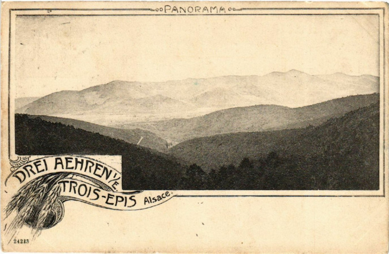 Carte postale ancienne Drei-Aehren - Trois-Epis - Panorama