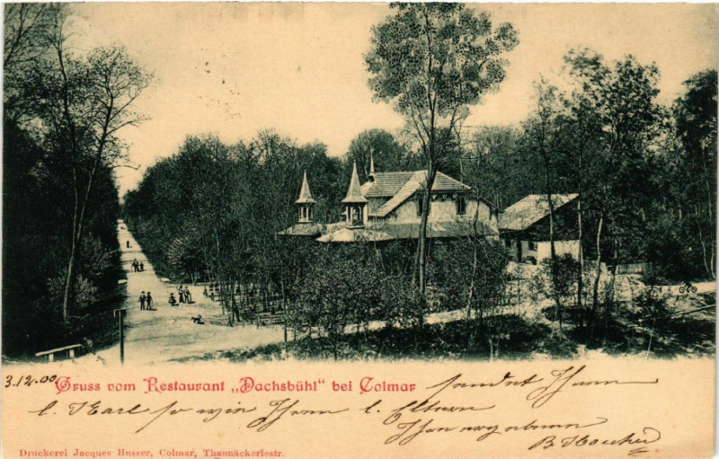 Carte postale ancienne Gruss vom Restaurant Dachsbuhl b. Colmar à Colmar