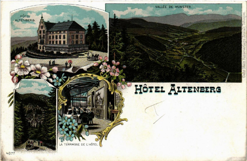 Carte postale ancienne Hotel Altenberg