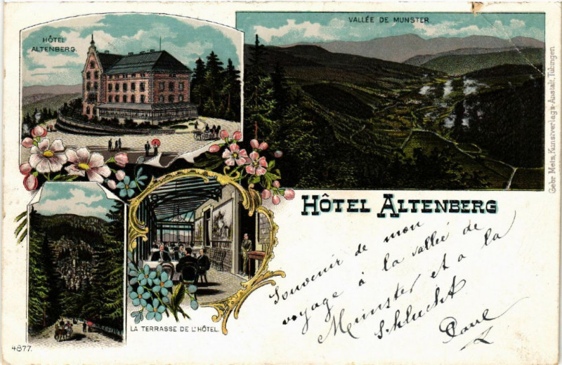 Carte postale ancienne Hotel Altenberg