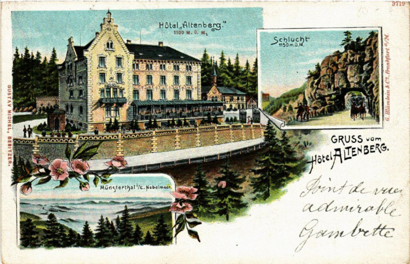 Carte postale ancienne Gruss vom Hotel Altenberg