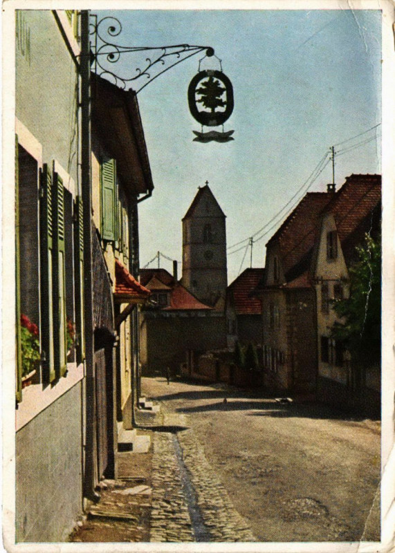 Carte postale ancienne Hartmannsweiler Kopf in Wattweiler