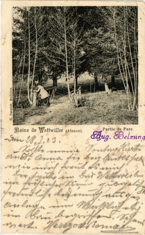 Carte postale ancienne Bains de Wattwiffer (Alsace) - Partie du Parc