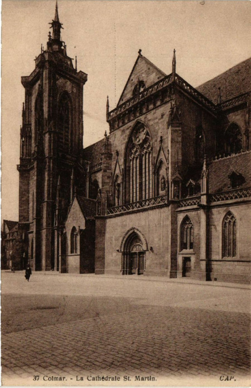 Carte postale ancienne Colmar - La Cathedrale Saint-Martin à Colmar