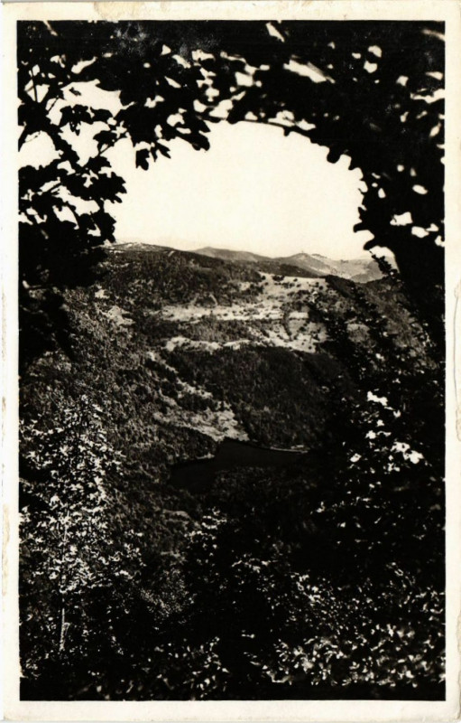 Carte postale ancienne Ballon D'Alsace (Alt 1256 m) Le Lac d'Alfeld