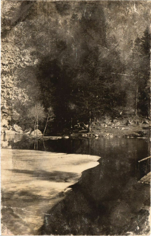 Carte postale ancienne La Vallée de Munster - Le Fischboedle à Munster