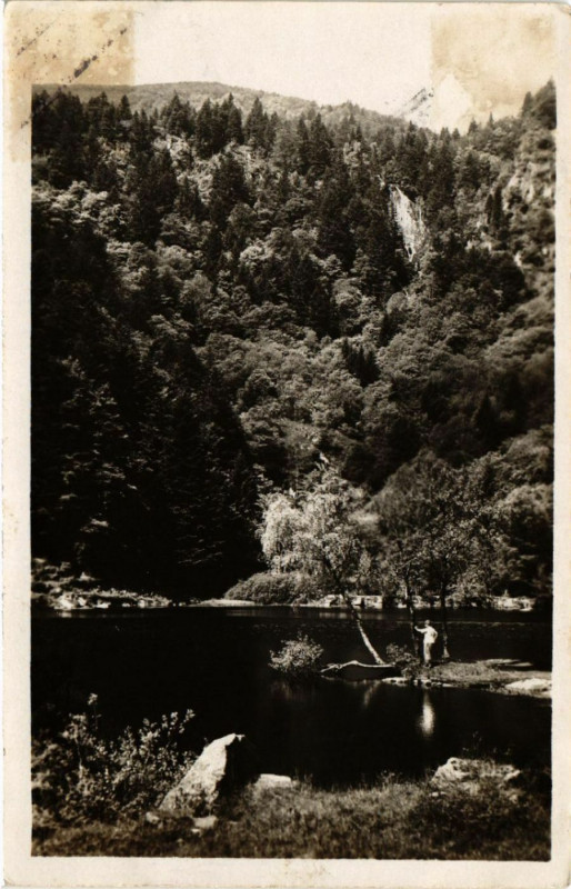 Carte postale ancienne La Vallée de Munster - Le Fischboedle à Munster