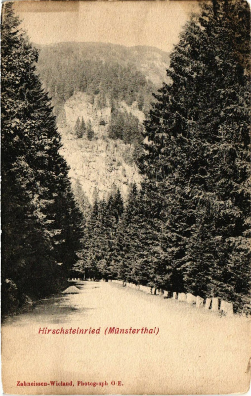 Carte postale ancienne Hirschsteinried (Munsterthal) à Munster
