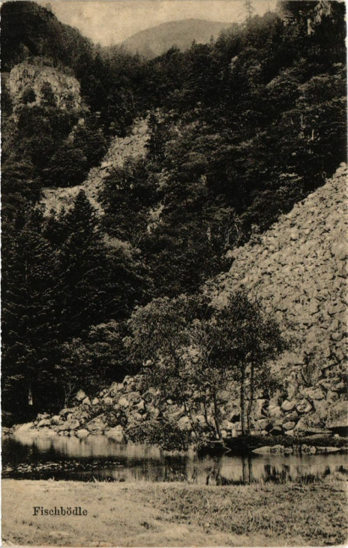 Carte postale ancienne Fischbodle