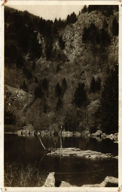 Carte postale ancienne Fischboedle
